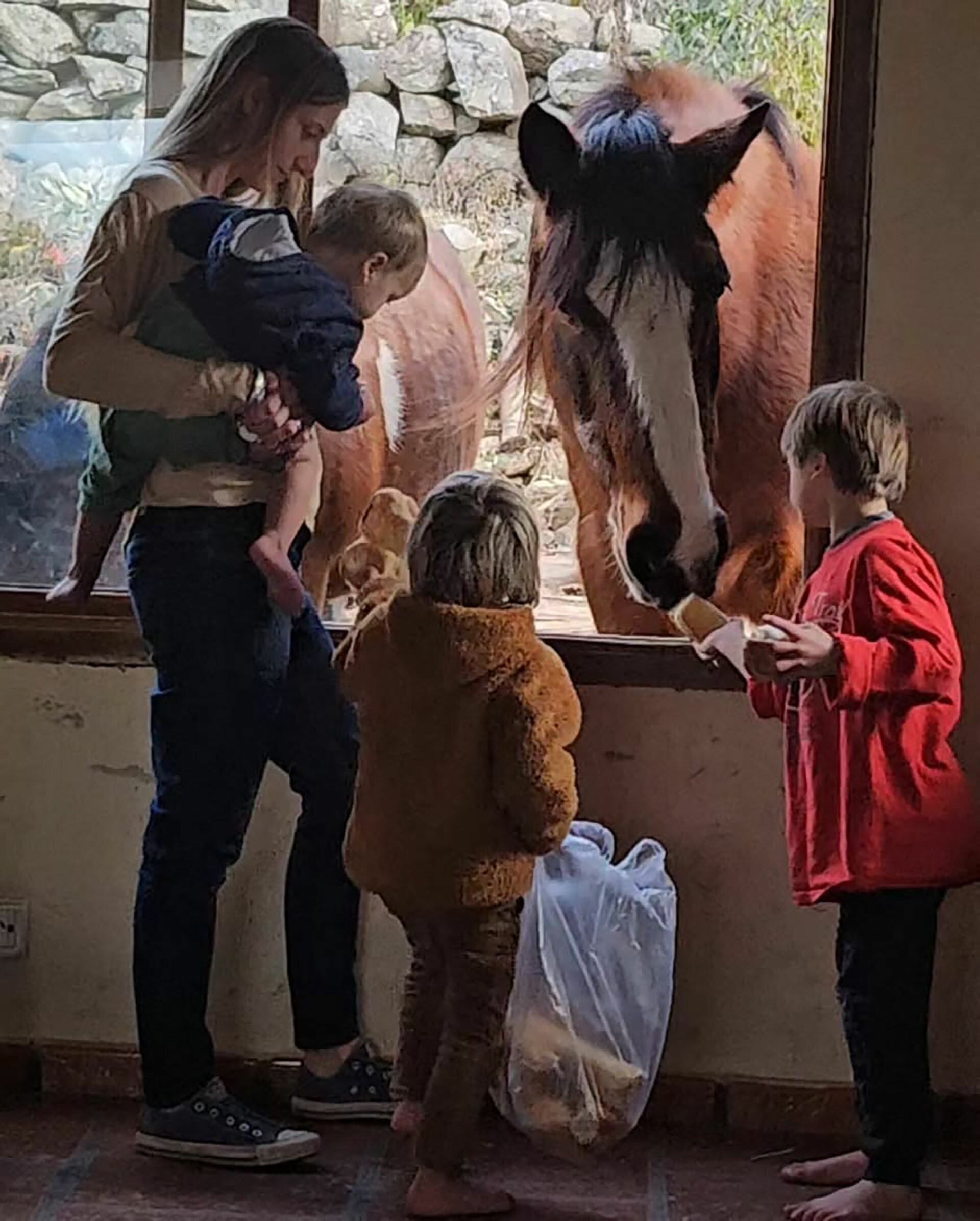 Todas las mañanas, los caballos se acercan hasta la casa para comer pan. Los más pequeños de la casa son los encargados de alimentarlos