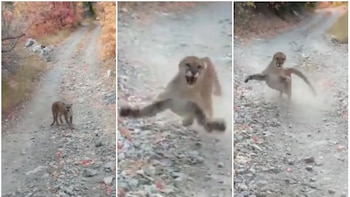 “¡Oh Dios mío, Dios mío!”: