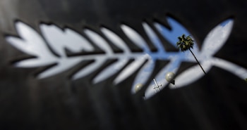 La Quincena de Cineastas de Cannes cuenta con la participación de filmes de Argentina, Venezuela y Chile en su edición 2026