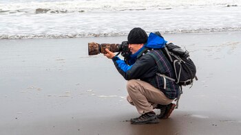 El descubrimiento sobre las aves