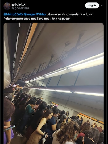 Alta afluencia en la Línea