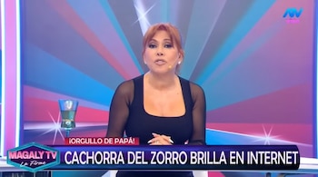 Magaly Medina sentada en un set de televisión con un top negro, mirando hacia adelante y hablando. Hay un gráfico azul y rosa brillante de fondo