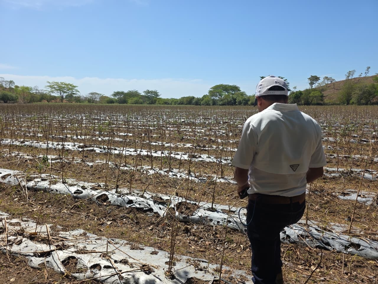 La falta de lluvia secó los ríos y obligó a reducir la frecuencia del abastecimiento de agua en El Triunfo.(Oscar Ortiz)