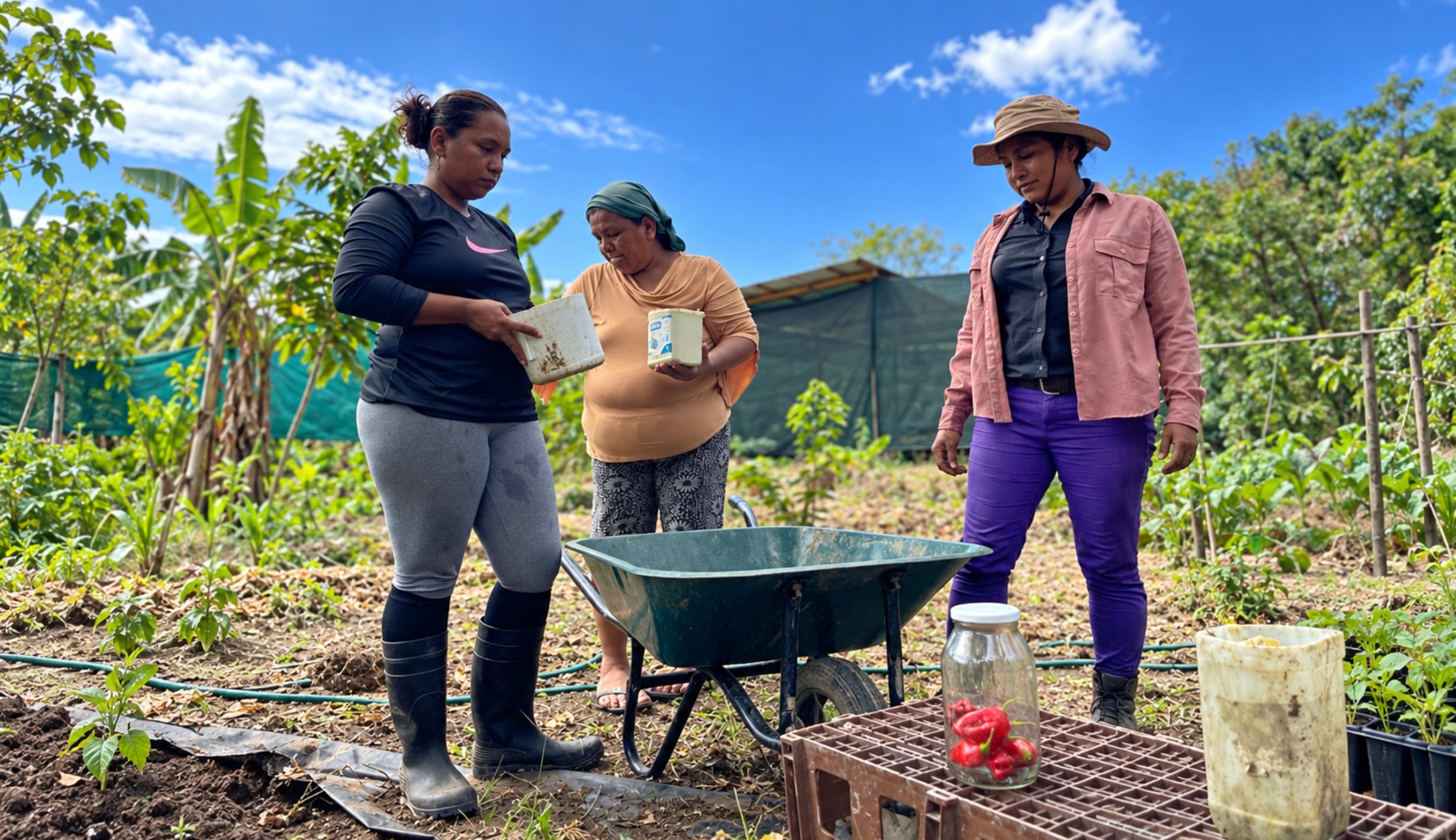 Comunidades indígenas de Costa Rica pierden sus cultivos por inundaciones y sequías: mujeres recurren al trueque de semillas para sobrevivir