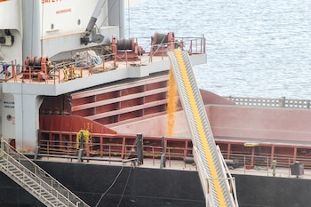 La meta es alinear la