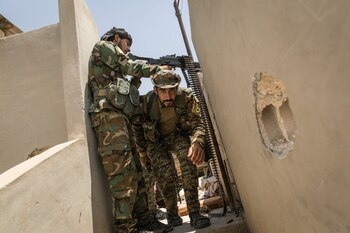 Las FDS aseguran que ahora