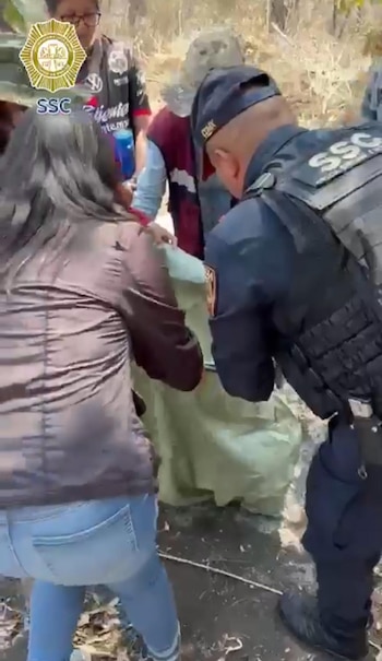 Los policías sujetaron al ejemplar de aproximadamente dos metros con un trapo y lo colocaron en una bolsa de plástico para resguardarlo. Foto: (Captura de pantalla)