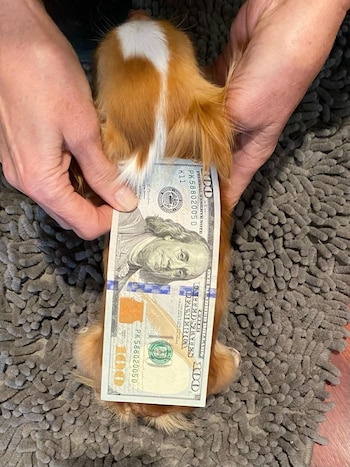 (Instagram @demimoore)