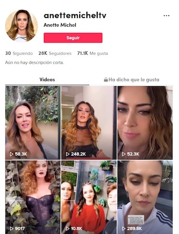 @anettemicheltv es una cuenta no