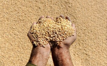 El país recogerá este año