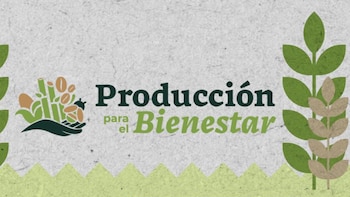 Producción para el Bienestar 2026: aumentan monto del apoyo y confirman depósitos para mayo