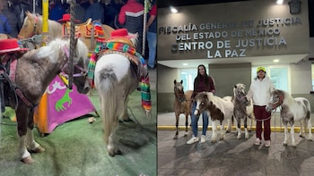 ¡Rescate en carrusel! Liberan a