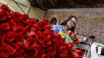 Cuáles son los productos colombianos