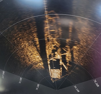 Imagen de sonar del Trinidad