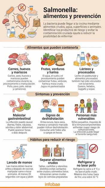 Infografía con ilustraciones de alimentos, síntomas y hábitos de higiene como el lavado de manos, el uso de tablas separadas y la refrigeración.