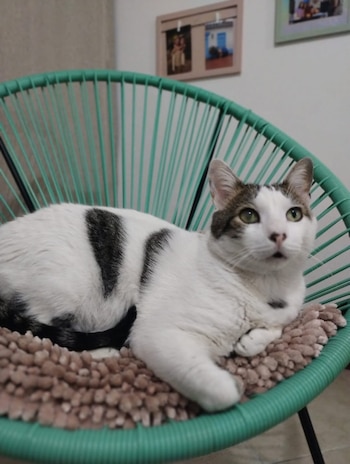 La universidad destacó que, aunque