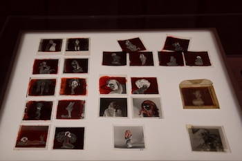 El Malba presenta dos muestras,