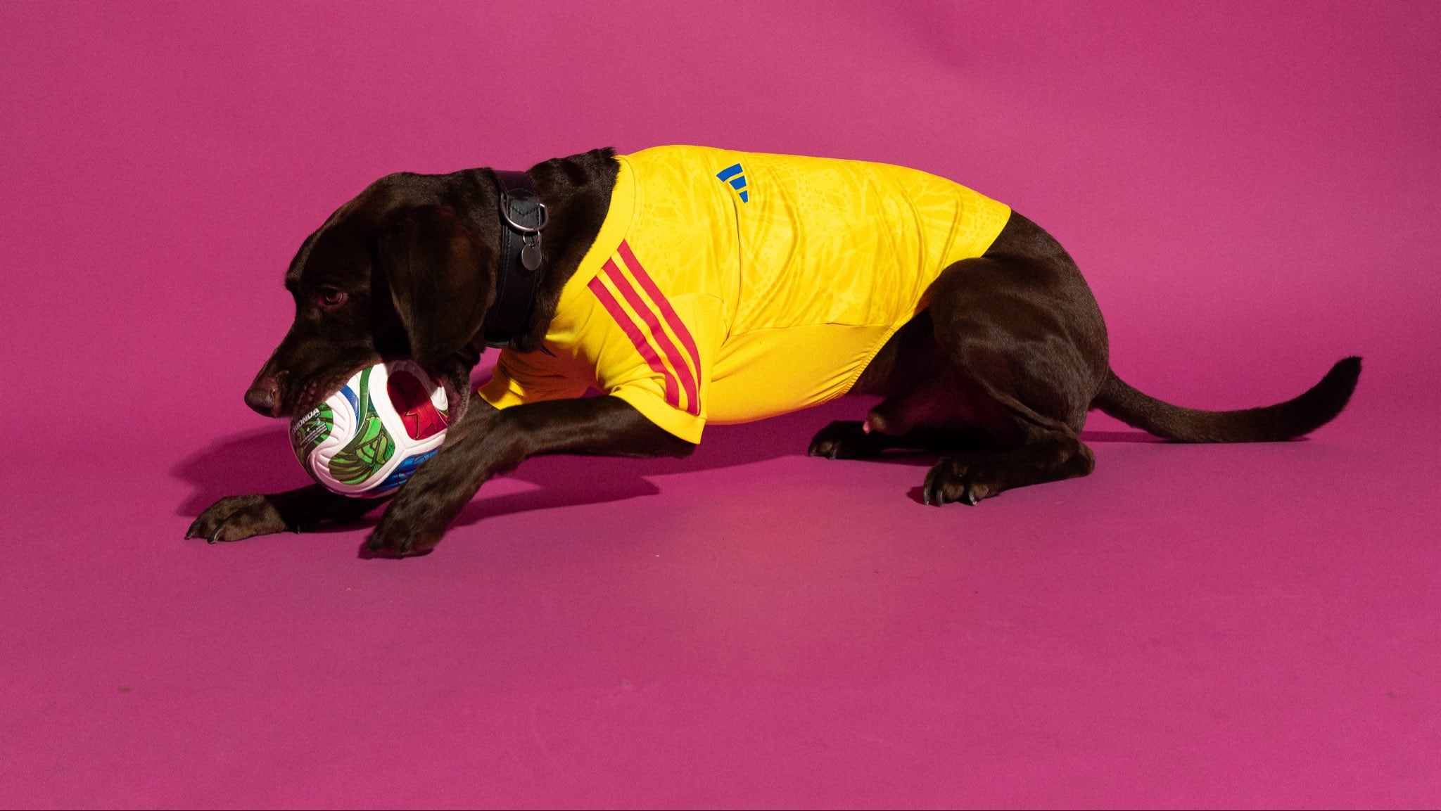 (X / @adidasfootball)