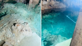 Usuarios reaccionaron con humor y