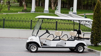 El modelo de vida basado