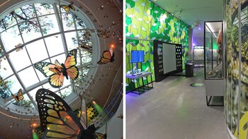 En el Pabellón Nacional de