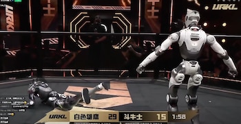 Dos robot humanoides se enfrentaron y uno perdió la cabeza.