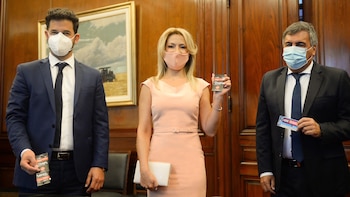 Fabiola Yañez logró un acuerdo