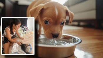 Un hombre le causó la