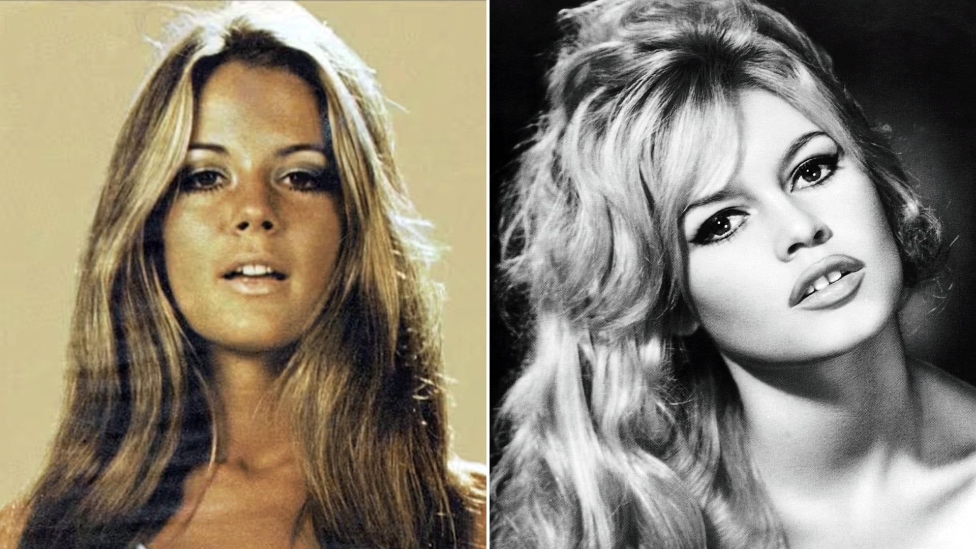 Graciela Alfano homenajeó a Brigitte Bardot por su muerte y mostró su parecido con el ícono del cine francés