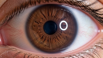 Más allá de la mirada: un estudio vinculó el tamaño de la pupila con el miedo y la empatía
