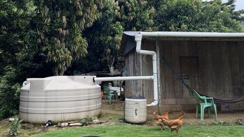 Acciona.org lanza un proyecto regenerativo