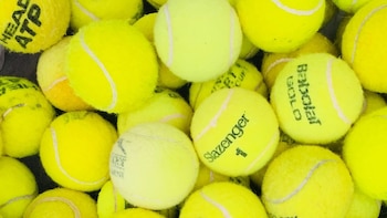 Las pelotas de tenis pueden convertirse en refugio para pequeños ratones silvestres (Needpix)