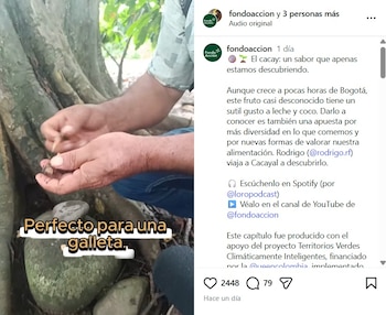 En la Amazonía y la