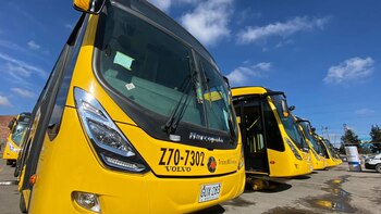 Nueva flota de buses Euro