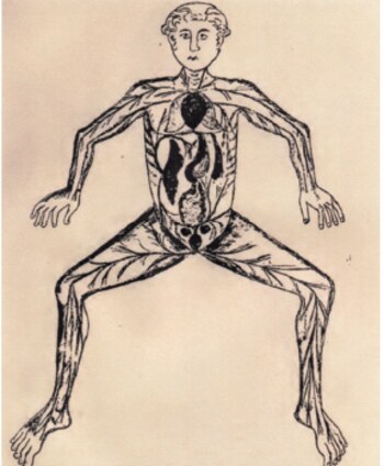 Ilustración del sistema arterial ubicado