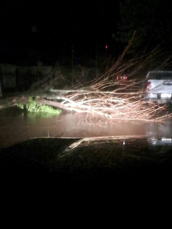 Las autoridades estiman que al