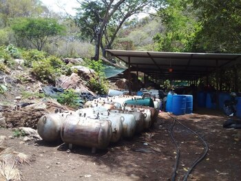 En el lugar también se