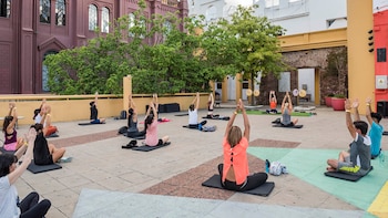 Habrá ciclos para todas las