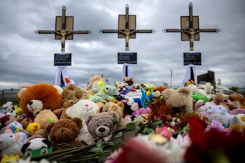 Juguetes de peluche cubren las