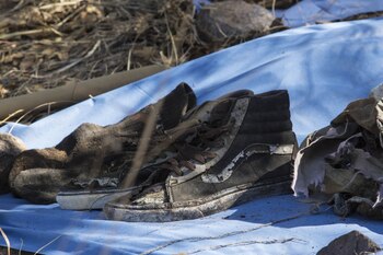 La Comisión Nacional de Búsqueda