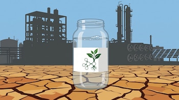 Cómo las regiones más secas del planeta podrían convertirse en las grandes productoras de combustible renovable