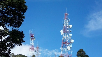 Sala Constitucional anula licitaciones de