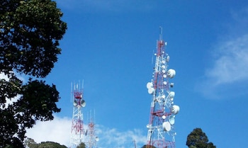 La resolución especifica que cada