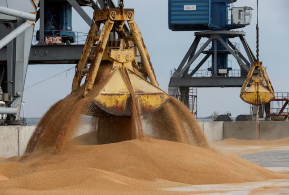 El trigo argentino gana terreno en Brasil, pero los precios locales siguen sin despegar