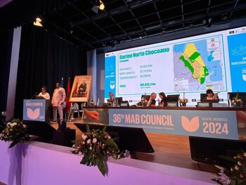 Momentos de la declaratoria de