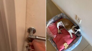 Con 3.8 millones de reproducciones,