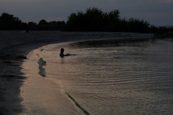 En colaboración con la Universidad