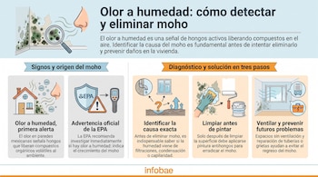 Ilustración con nariz oliendo moho en una pared, lupa, casa, escudo EPA, medidor de humedad, ventana, esponja limpiando moho, bote de pintura y ventilador.