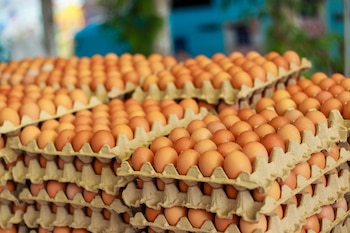 El precio del huevo en El Salvador subió hasta 5 dólares por kilo durante el primer trimestre de 2026, según cifras oficiales./(Ministerio de Agricultura y Ganadería)
