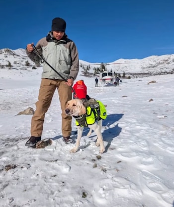 Un hombre sostiene la correa de un perro con chaleco reflectante sobre un terreno nevado, con un helicóptero y montañas al fondo